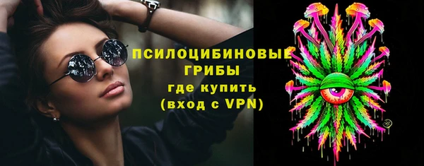 первитин Богородицк