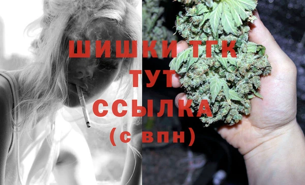 первитин Богородицк