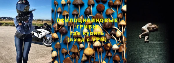 a pvp Богданович
