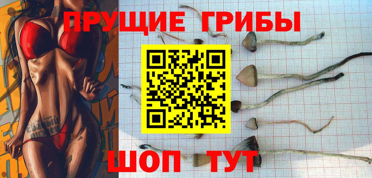 Псилоцибиновые грибы MAGIC MUSHROOMS Свободный