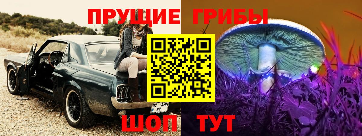 Галлюциногенные грибы мицелий  Вход с VPN  Свободный 